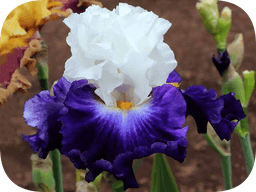 НАШ САЙТ ОБНОВЛЕН НА 2026 ГОД!