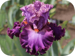 ТОЛЬКО ЛУЧШЕЕ ДЛЯ ВАС!